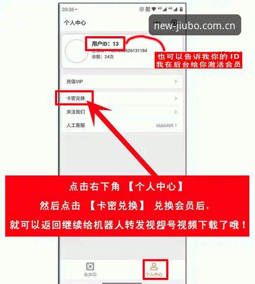 九博国际电脑版 九博体育平台新手操作教程:从下载到登录的完整指南